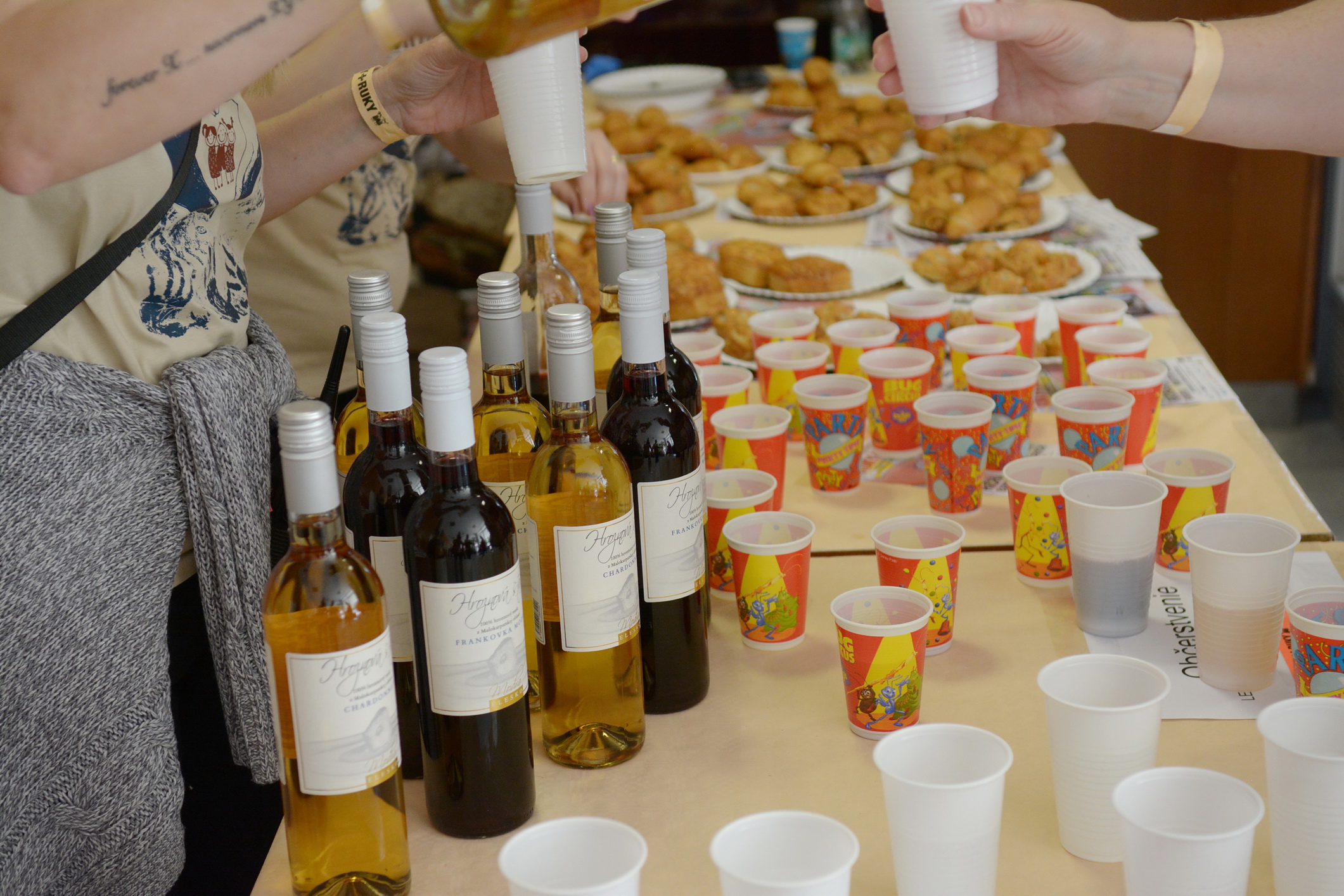 377 Ruky Ruky NRC 2025 Marek Vaco